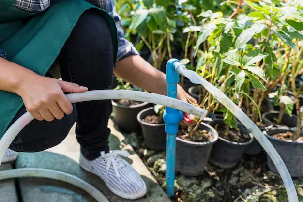 gardening_23-2148020412