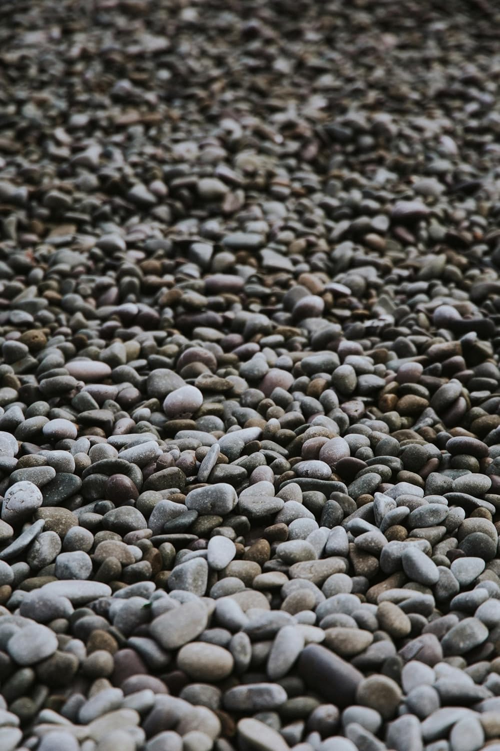 River Stone Per kg - Image 4
