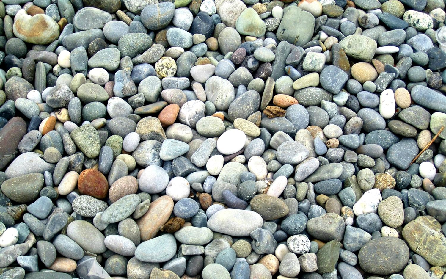 River Stone Per kg - Image 5